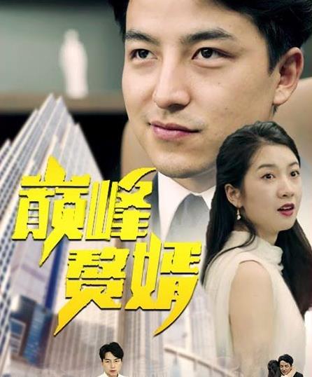 巅峰赘婿封面图