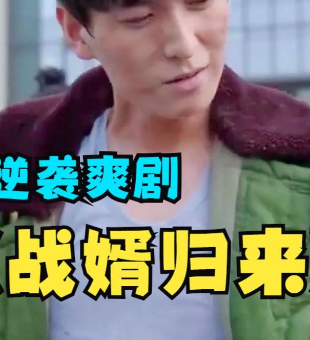 战婿归来封面图