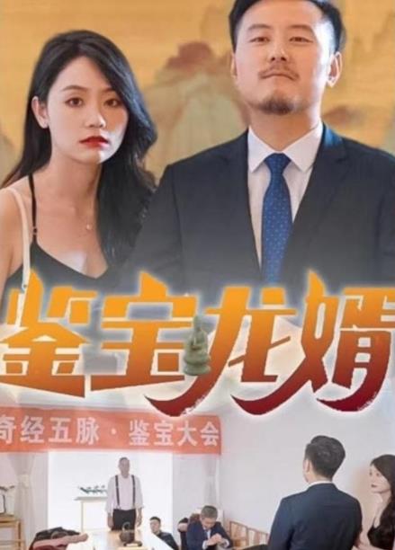 鉴宝龙婿封面图