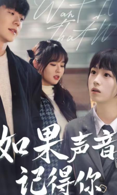 如果声音记得你封面图