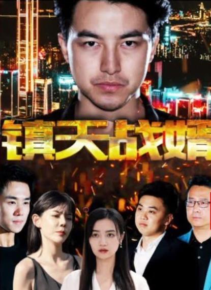 镇天战婿封面图