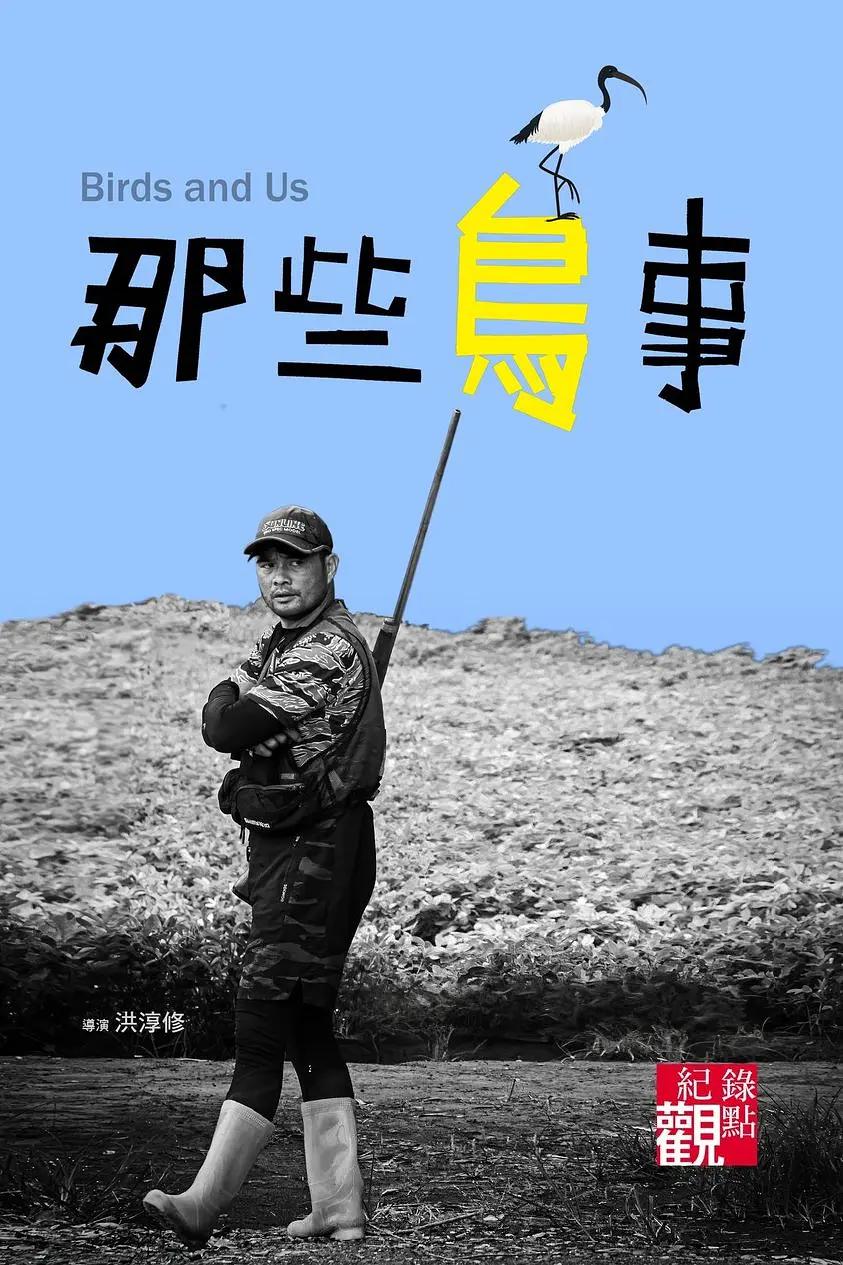 那些鸟事封面图