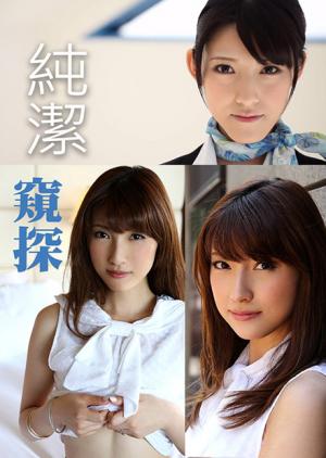 纯洁窥探封面图