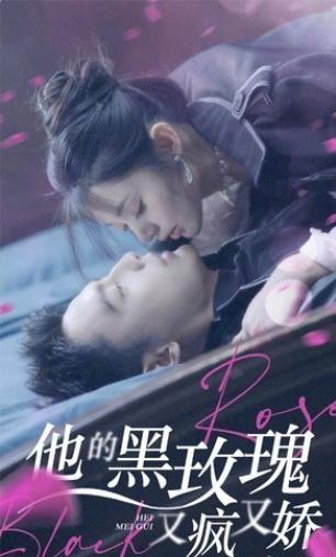 他的黑玫瑰又疯又娇封面图