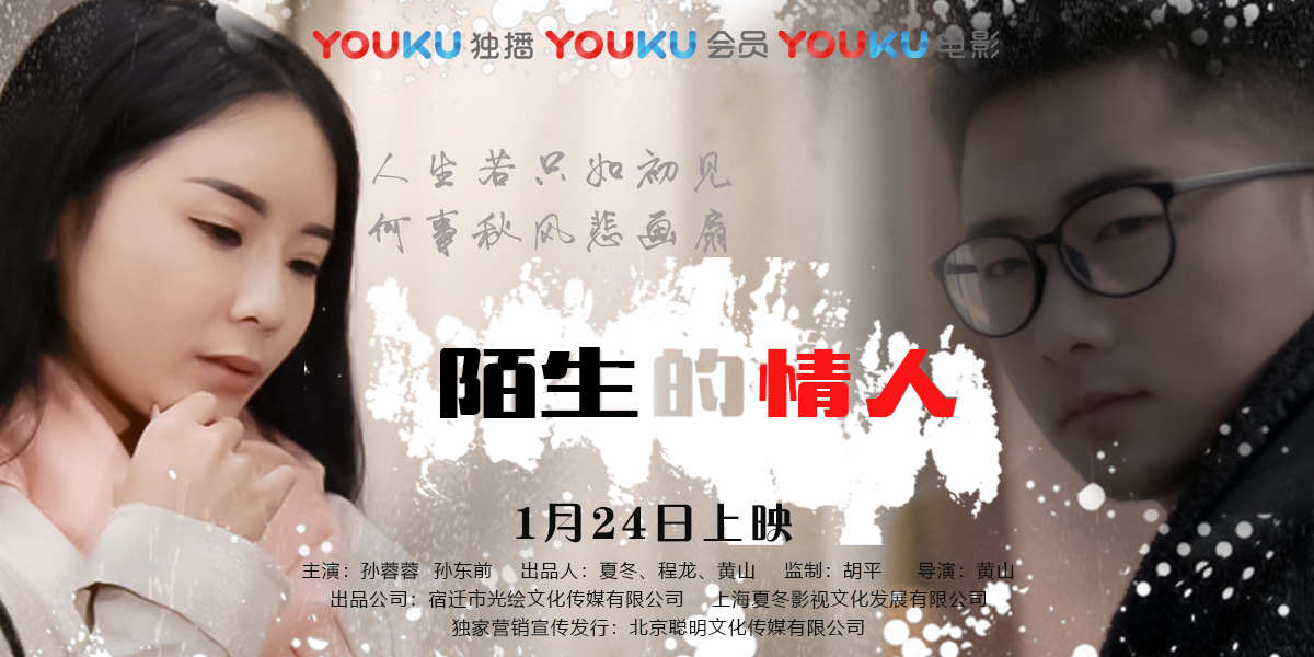 陌生的情人封面图