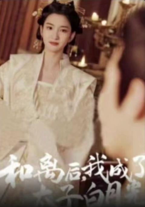 和离后，我成了太子白月光封面图