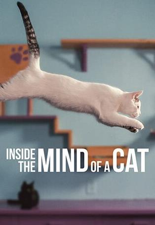 喵星人的奇思妙想封面图