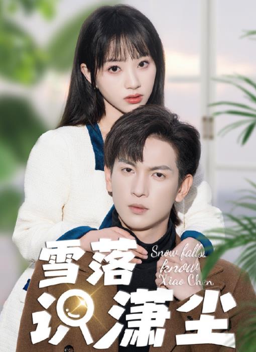 雪落识潇尘封面图