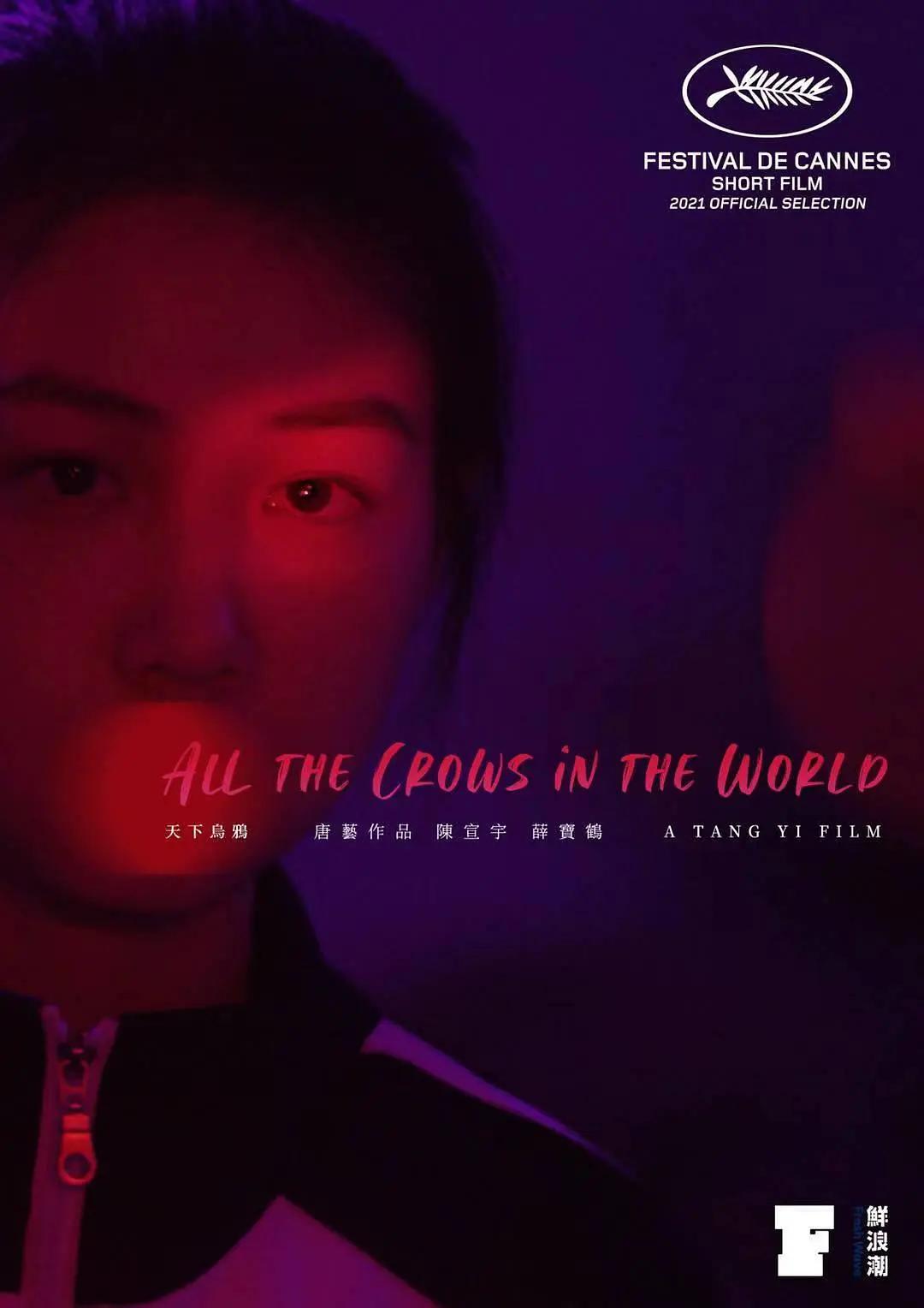 天下乌鸦封面图