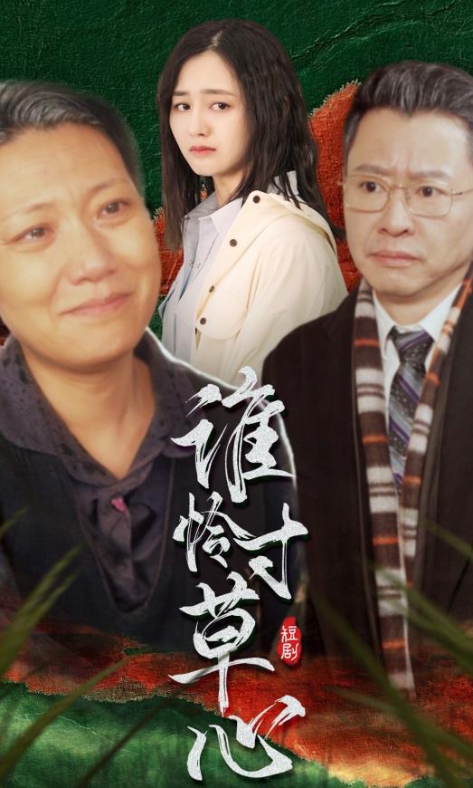 谁怜寸草心封面图