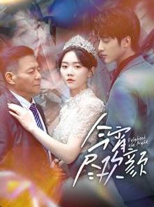 今宵尽欢颜封面图