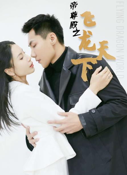 帝尊殿之飞龙天下封面图