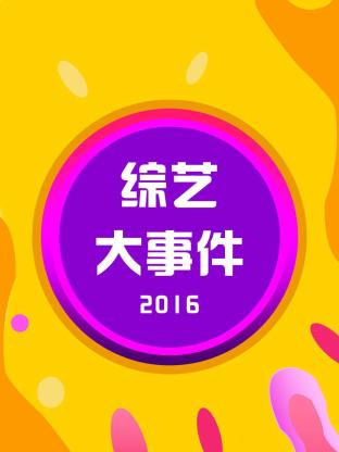 综艺大事件2016封面图