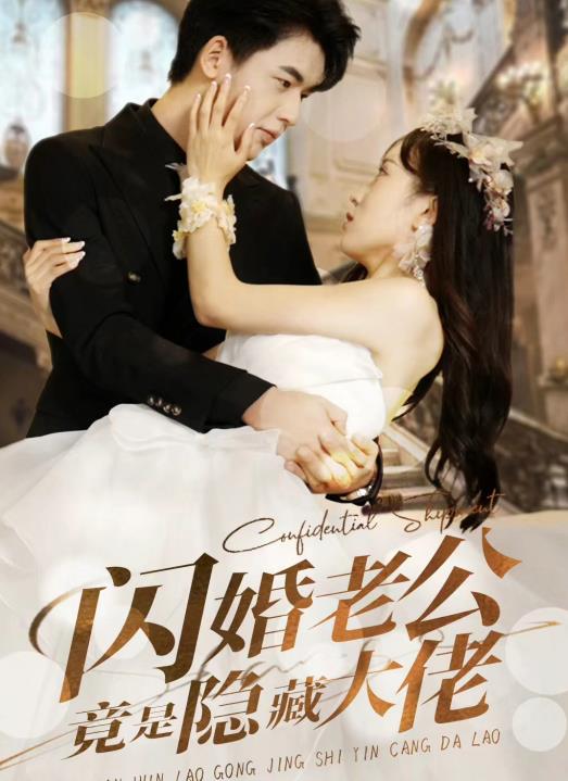 闪婚老公竟是隐藏大佬封面图