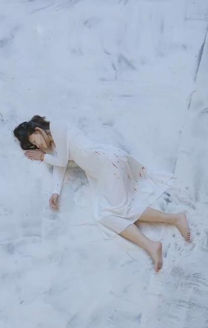 以身为饵的她封面图