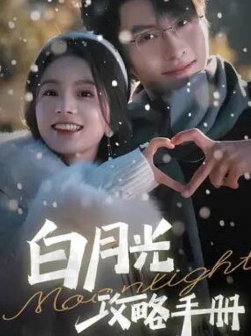 白月光攻略手册封面图