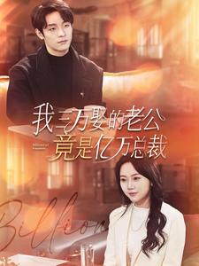 我三万娶的老公竟是亿万总裁封面图