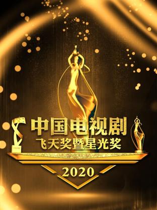 中国电视剧飞天奖暨星光奖2020封面图