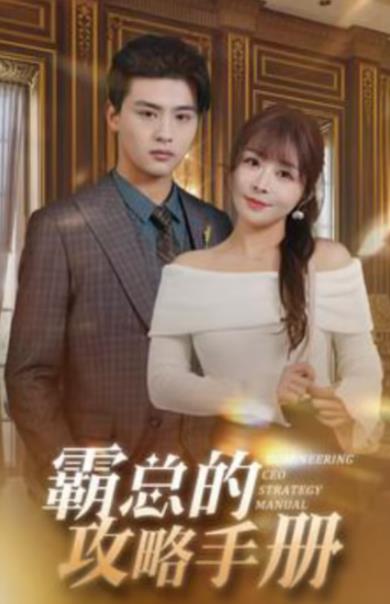 霸总的攻略手册封面图