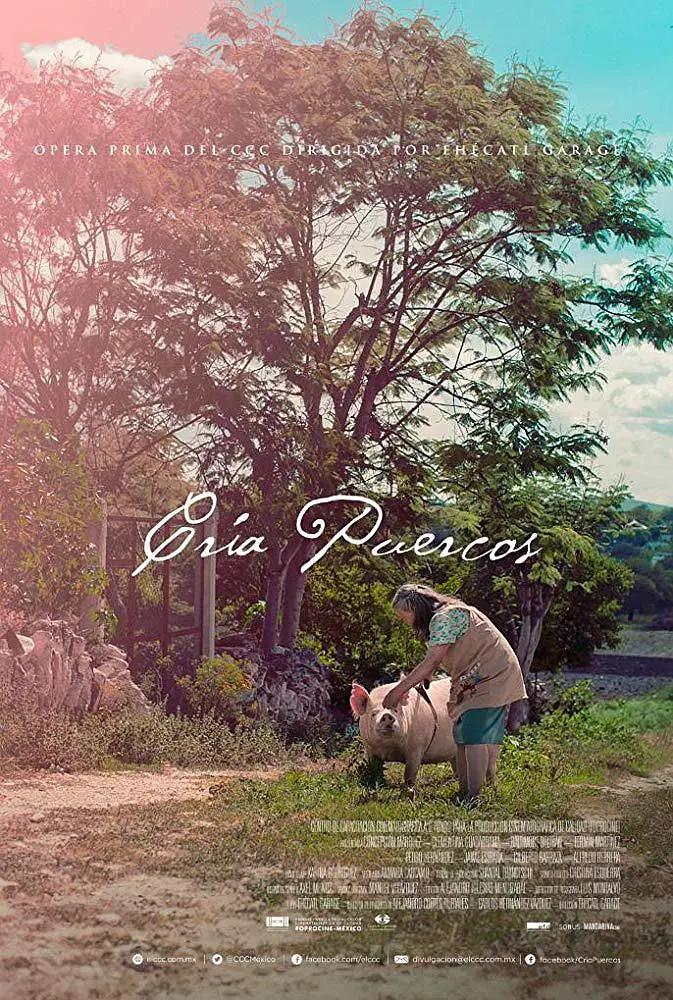 奶奶养的猪封面图