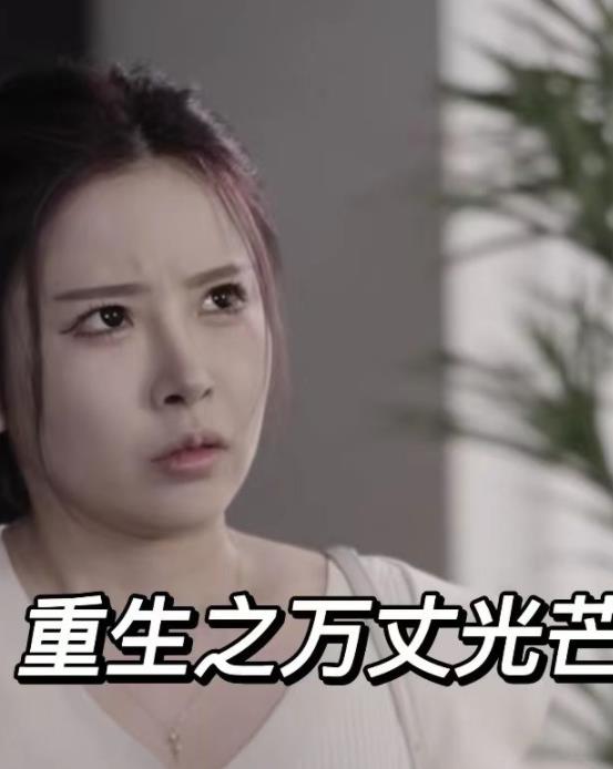 重生之万丈光芒封面图