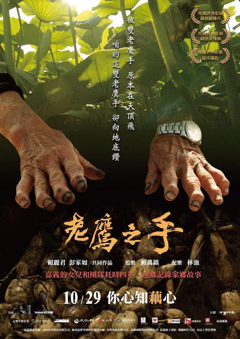 老鹰之手封面图