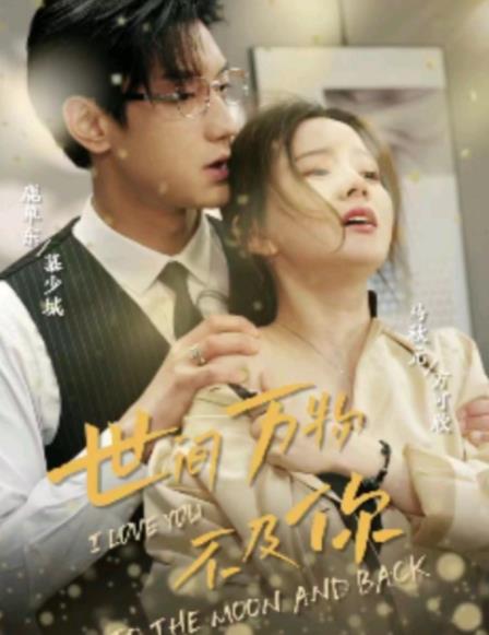 世间万物不及你封面图