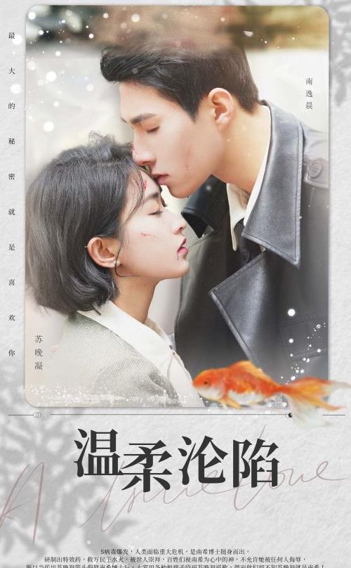 温柔沦陷封面图