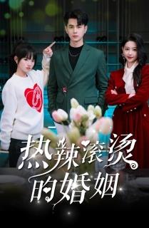 热辣滚烫的婚姻封面图