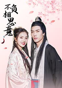 不负相思意封面图
