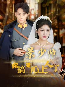 景少帅你搞错心上人了封面图