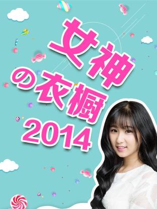 女神の衣橱2014封面图