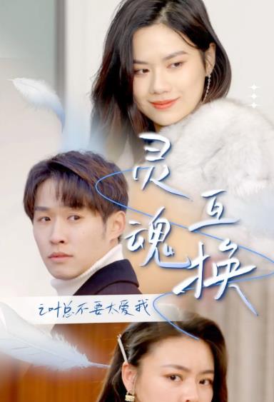 灵魂互换后之叶总不要太爱我封面图