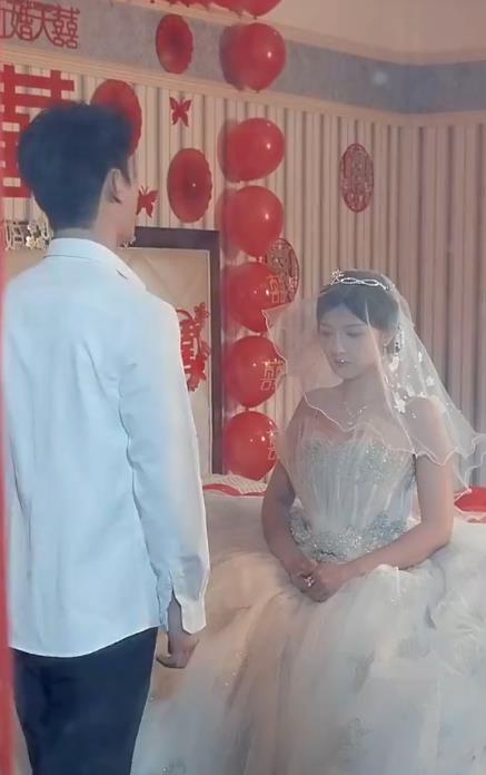 夫人马甲藏不住了封面图