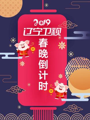 辽宁卫视春晚倒计时2019封面图