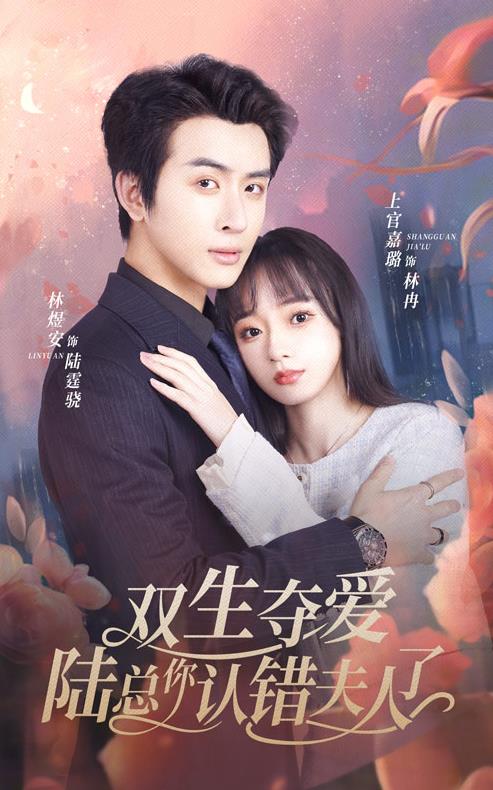 双生夺爱陆总你认错夫人了封面图