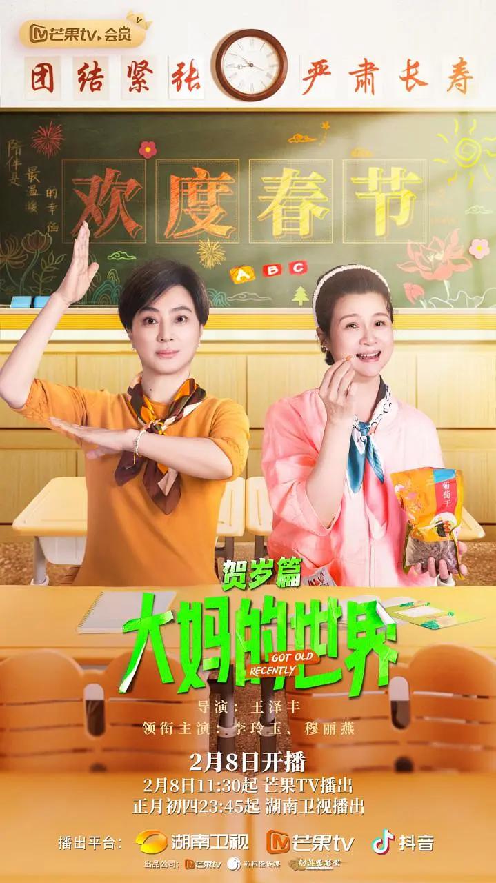 大妈的世界贺岁篇封面图