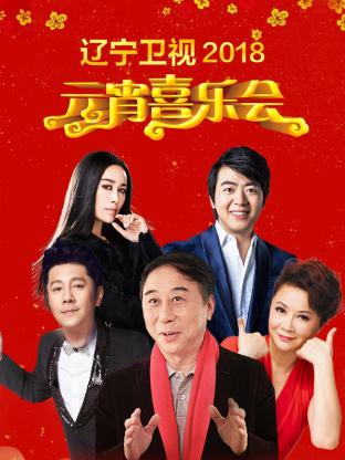辽宁卫视元宵喜乐会2018封面图