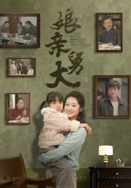 娘亲舅大封面图