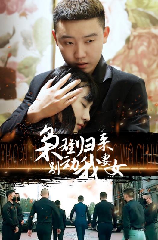 枭雄归来别动我妻女封面图