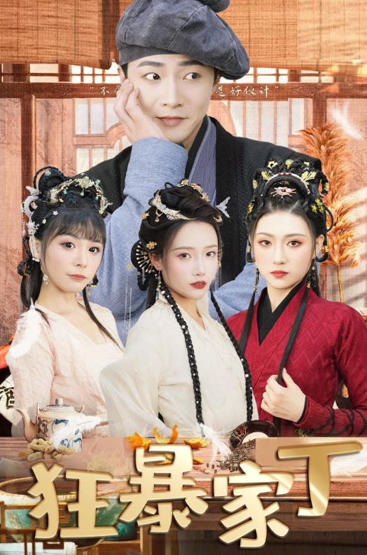 狂暴家丁封面图