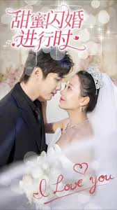 甜蜜闪婚进行时封面图