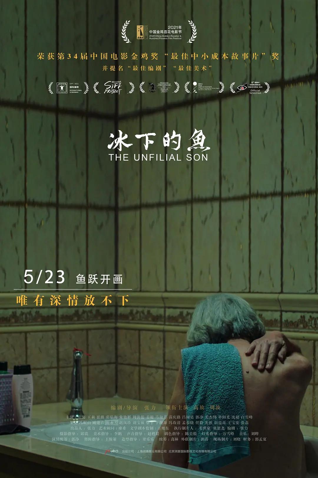 冰下的鱼封面图