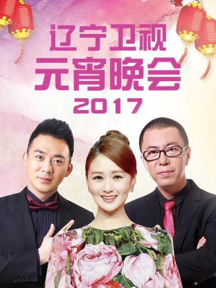 辽宁卫视元宵晚会2017封面图