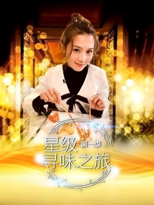 星级寻味之旅第一季封面图