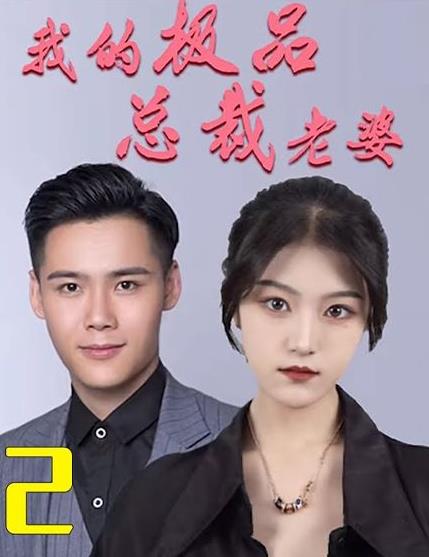 我的极品总裁老婆封面图