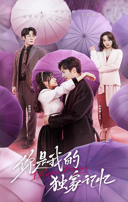 你是我的独家记忆封面图