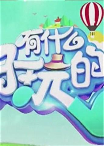 有什么好玩的2015封面图