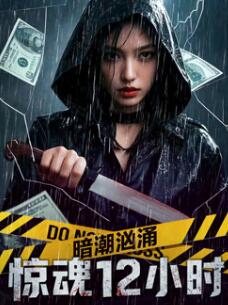 暗潮汹涌之惊魂12小时封面图