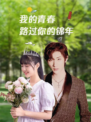 我的青春路过你的锦年封面图